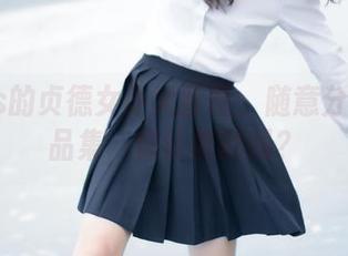 疯猫ss的贞德女仆大冒险：随意分享的作品集，你认真的吗？